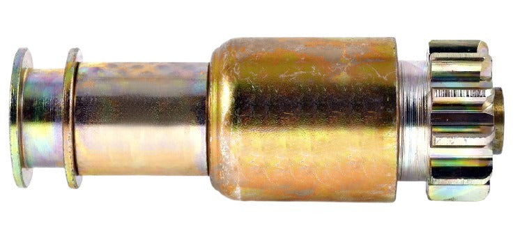 Belstarter IB2025 | 1 | ib2025.jpg