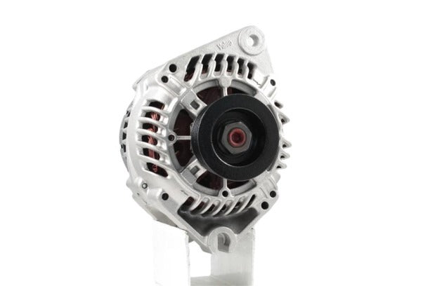 Belstarter IR7239R | 20 | img_9485.jpg