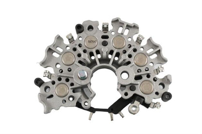 Belstarter IA7647 | 1 | 000_IA7647.jpg
