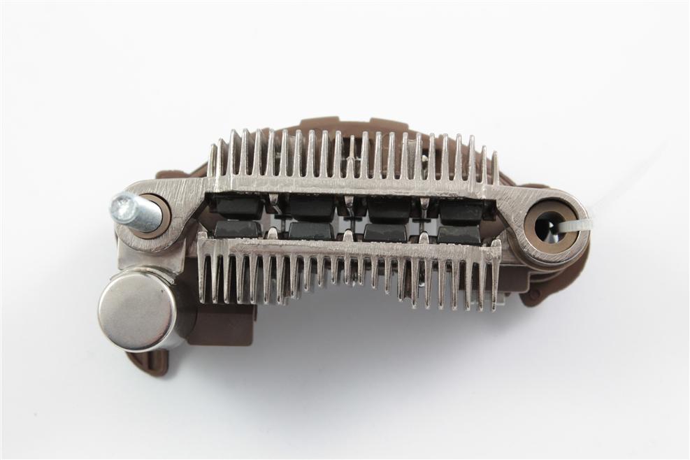 Belstarter IA7725 | 1 | 000_IA7725.jpg