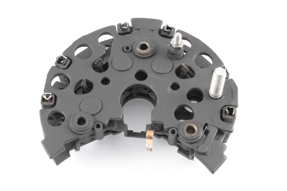 Belstarter IA7761 | 1 | 000_IA7761.jpg