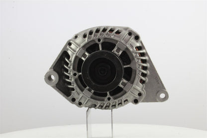 Belstarter IR7187 | 1 | 000_IR7187.jpg