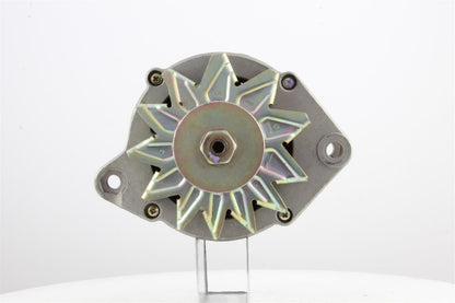 Belstarter IR7394 | 1 | 000_IR7394.jpg