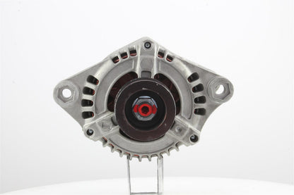 Belstarter IR7657 | 1 | 000_IR7657.jpg