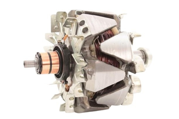 Belstarter IB6002 | 1 | 000_ib6002.jpg