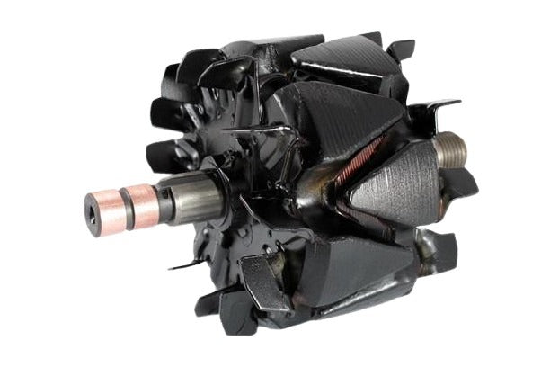 Belstarter IB6074R | 1 | 000_ib6074r.jpg