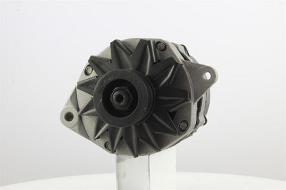 Belstarter IR7081 | 2 | 001_IR7081.jpg