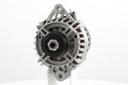Belstarter IR7449 | 2 | 001_IR7449.jpg