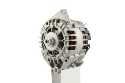 Belstarter IR6572 | 3 | 002_ir6572.jpg
