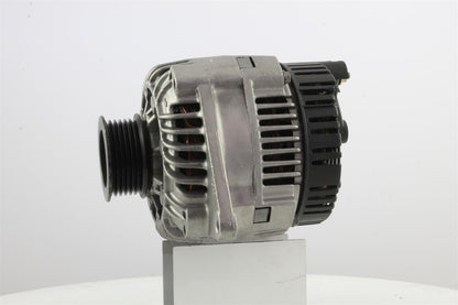Belstarter IR7187 | 5 | 004_IR7187.jpg