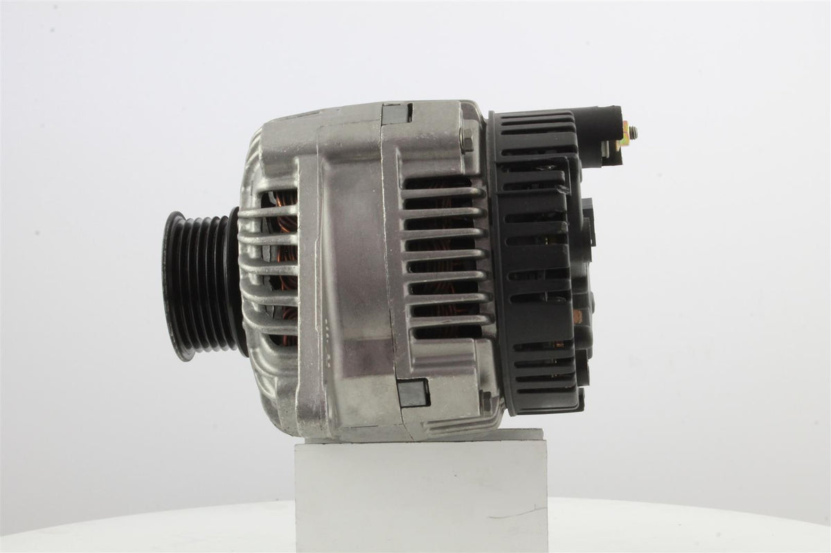 Belstarter IR7187 | 6 | 005_IR7187.jpg