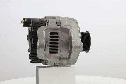 Belstarter IR7187 | 15 | 014_IR7187.jpg