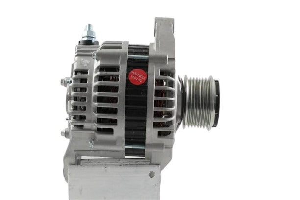 Belstarter IR6244 | 16 | 015_ir6244.jpg