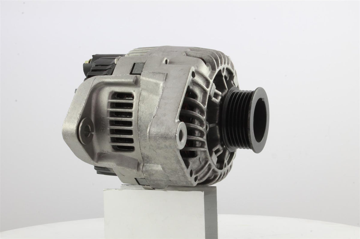 Belstarter IR7187 | 17 | 016_IR7187.jpg