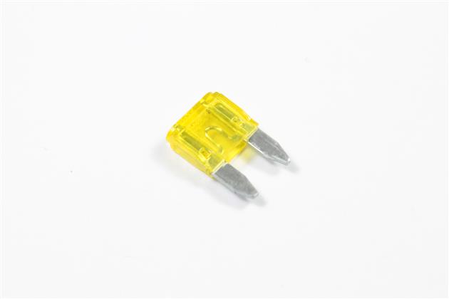 Belstarter IF017GAUSS | 1 | IF017GAUSS.jpg