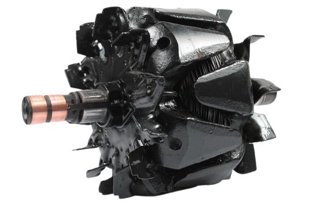 Belstarter IA6321RP | 1 | img-0131.jpg