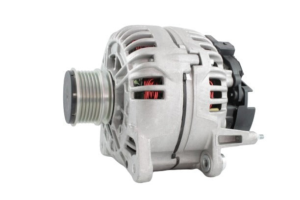Belstarter IR6519RP | 5 | img-5063.jpg