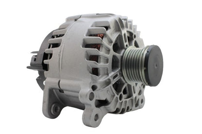 Belstarter IR5008RP | 18 | img-5809.jpg