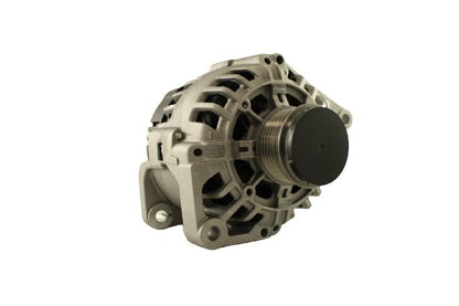 Belstarter IR7227RP | 19 | img-6897.jpg