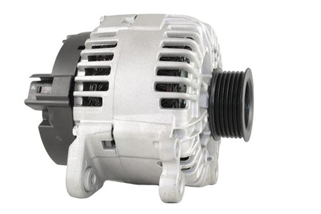 Belstarter IR6779RP | 17 | img-8154.jpg