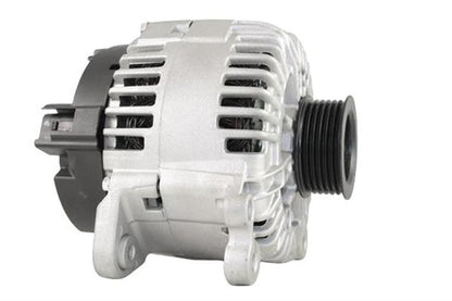 Belstarter IR6779RP | 17 | img-8154.jpg