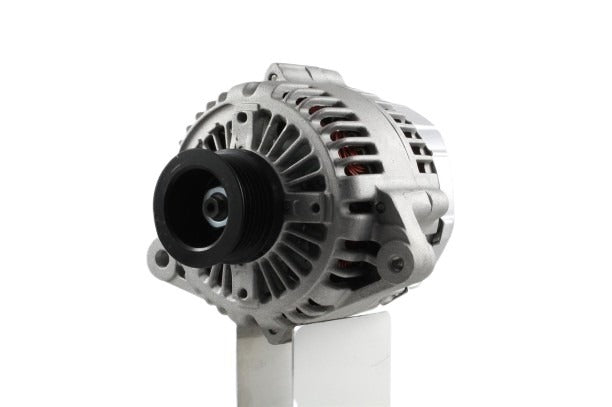 Belstarter IR7398RP | 3 | img-93251.jpg