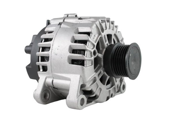 Belstarter IR5666RP | 18 | img-9858.jpg