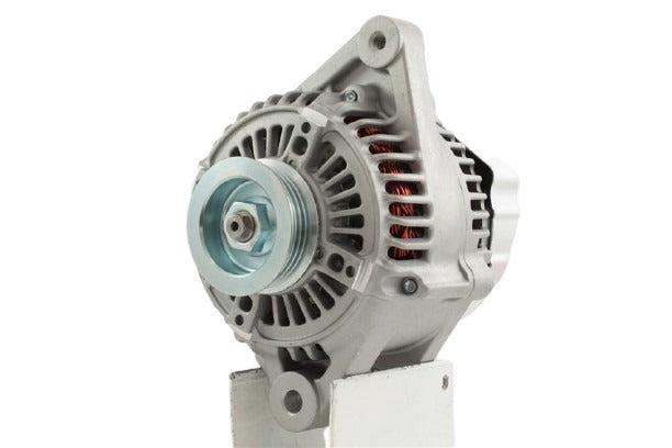 Belstarter IR6562RP | 3 | img_3042.jpg
