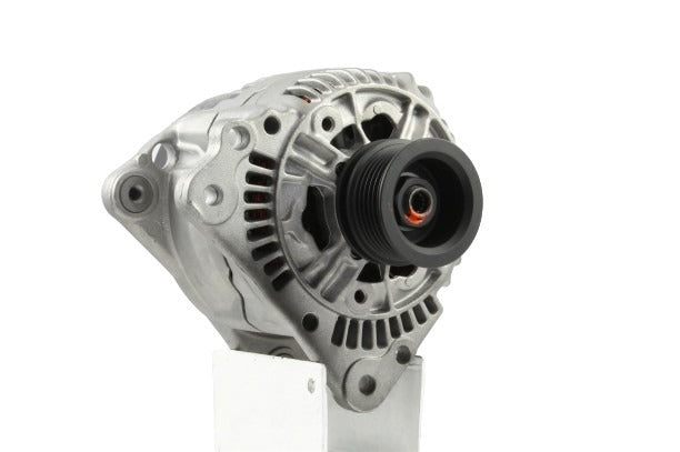 Belstarter IR7814R | 19 | img_4597.jpg