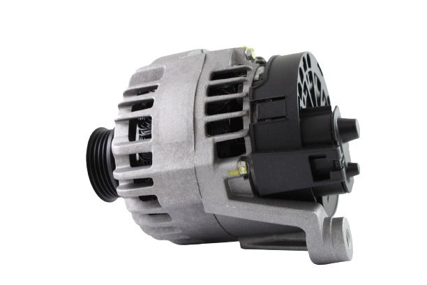 Belstarter IR7877RP | 7 | img_4620.jpg