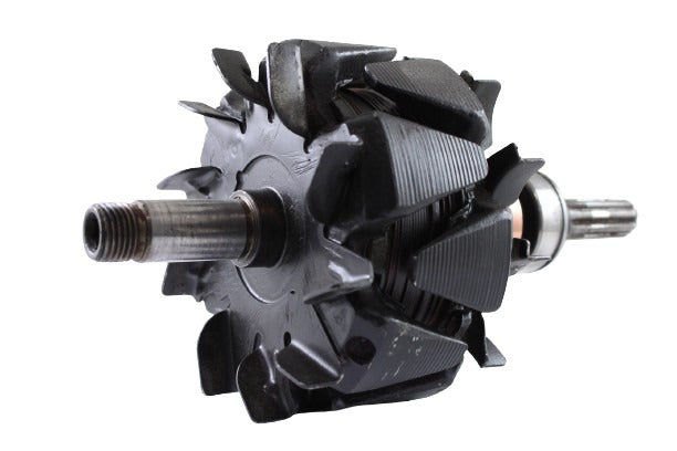 Belstarter IA6095RP | 2 | img_4702.jpg