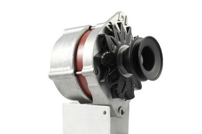 Belstarter IR7327R | 18 | img_4716.jpg