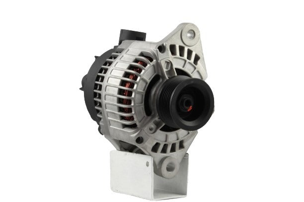Belstarter IR7656R | 19 | img_4917.jpg