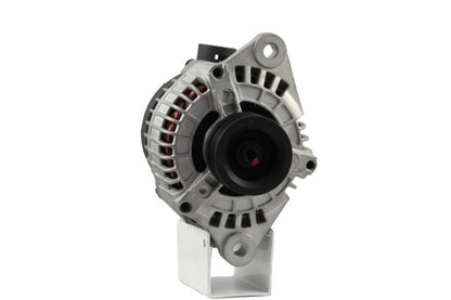 Belstarter IR7656R | 20 | img_4918.jpg