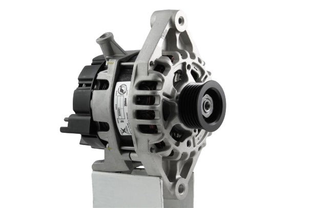 Belstarter IR7317VALEO | 18 | img_5064.jpg