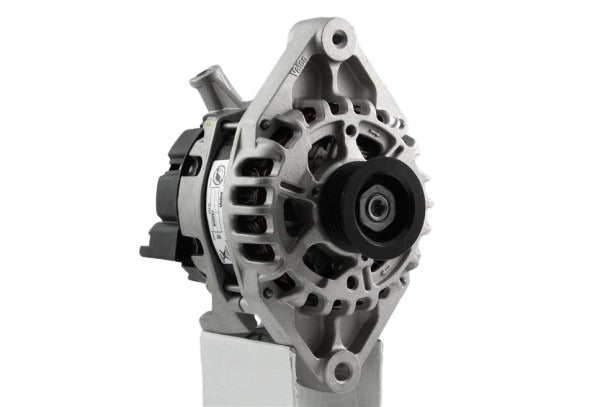 Belstarter IR7317VALEO | 19 | img_5065.jpg