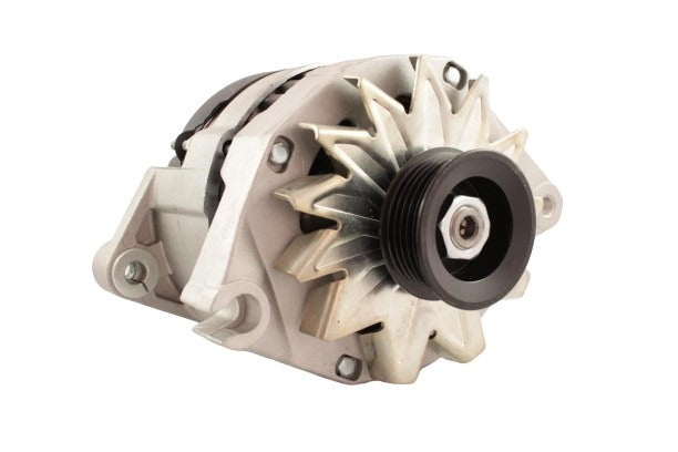 Belstarter IR7021RP | 19 | img_5356.jpg