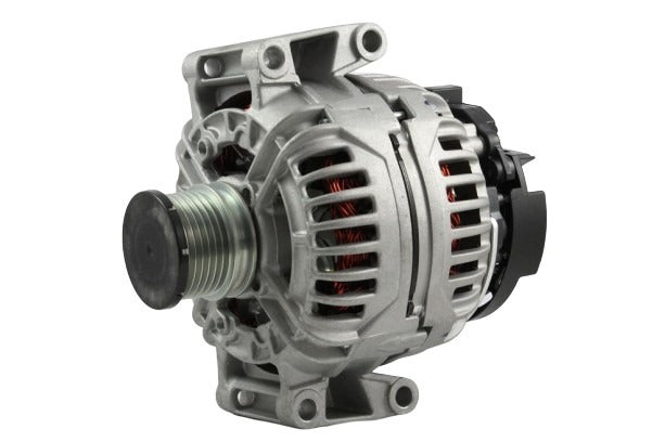 Belstarter IR5977OERP | 3 | img_5640.jpg