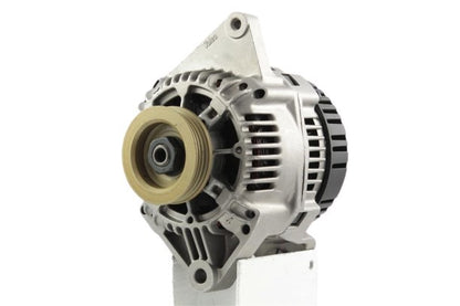 Belstarter IR7268R | 3 | img_6224.jpg