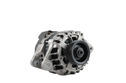Belstarter IR6362RP | 19 | img_6481.jpg