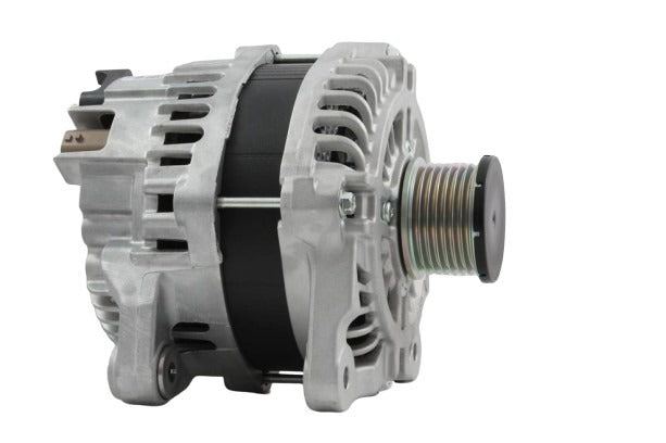 Belstarter IR5915INARP | 17 | img_6501.jpg