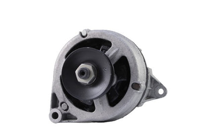 Belstarter IR7053RP | 2 | img_6658.jpg
