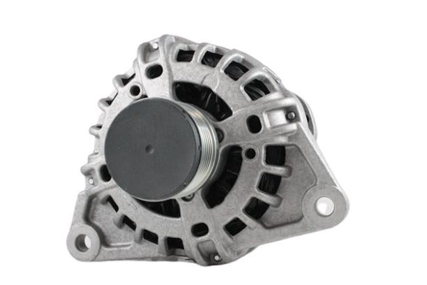 Belstarter IR7371OERP | 2 | img_6979.jpg