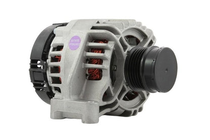 Belstarter IR7987P | 18 | img_7142.jpg