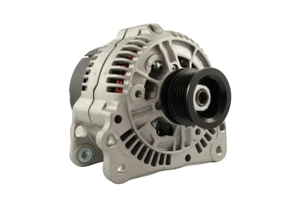 Belstarter IR7404P | 19 | img_7194.jpg