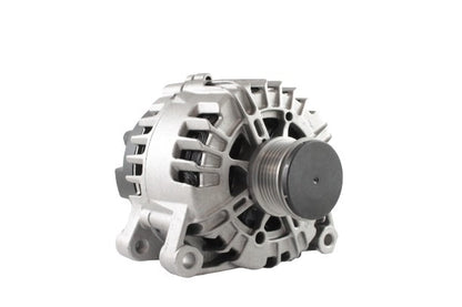 Belstarter IR5654RP | 19 | img_7285.jpg