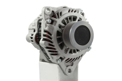 Belstarter IR7495P | 19 | img_7329.jpg