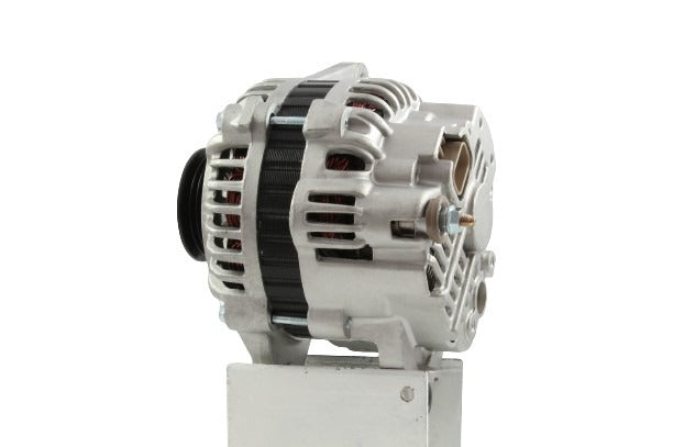 Belstarter IR6819 | 7 | img_7338.jpg