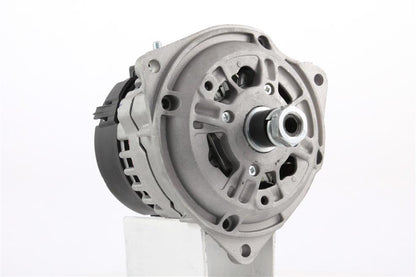 Belstarter IR5897P | 19 | img_8874.jpg