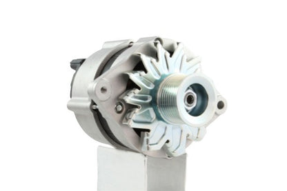 Belstarter IR6006P | 19 | img_8919-removebg-preview.jpg